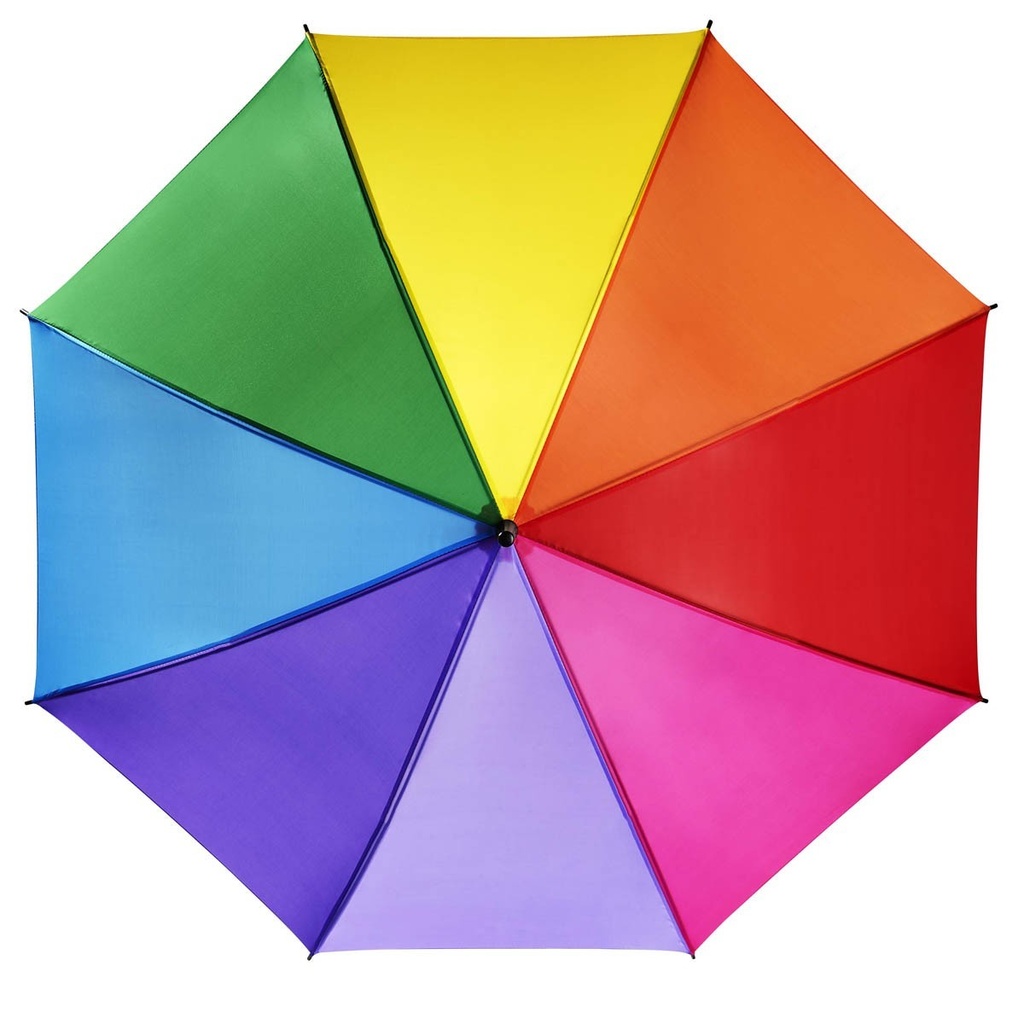 Vista 4