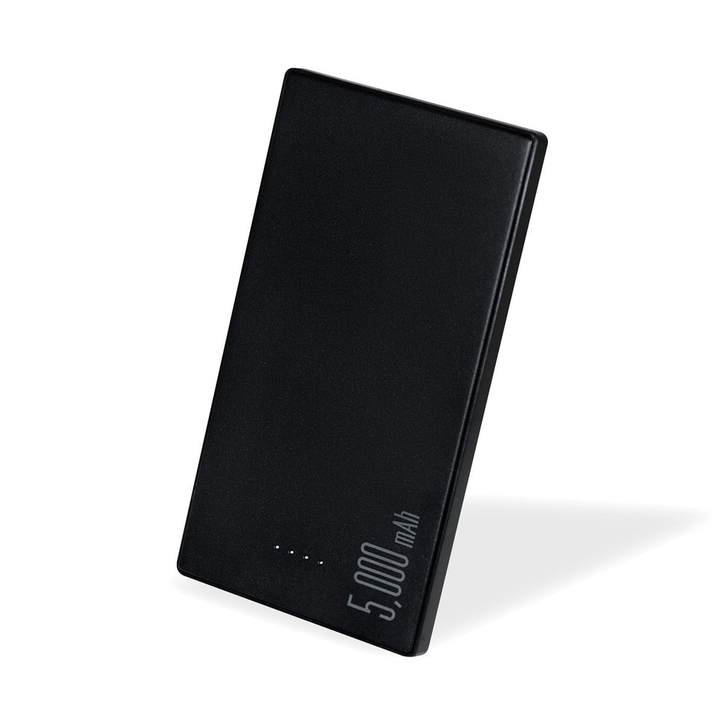 Batería portátil promocional de metal 5,000 mAh con puerto tipo C – BT-ACS-0066
