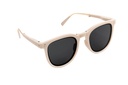 Gafas de sol promocionales de plástico y metal con diseño plegable y estuche rígido – BT-ARV-0022