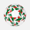 Pelota deportiva promocional de PVC No. 5 con 35 gajos – BT-DEP-0014