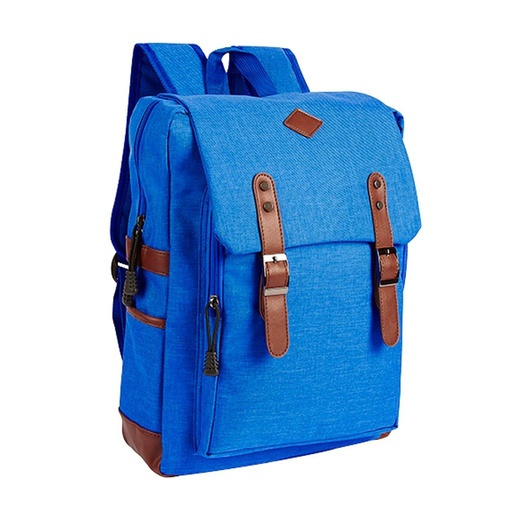 Mochila promocional de poliéster con compartimento para laptop de 15 pulgadas – BT-MOC-0090
